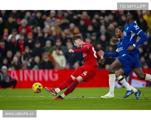 备战默西塞德德比有胜阿利松回归助阵球队布拉德利恢复仍需时间中 备战默西塞德德比有胜阿利松回归助阵球队布拉德利恢复仍需时间中