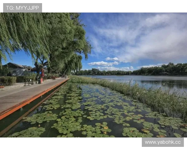 退役归来满血复活再现统治力状态堪比巅峰时期震撼强势华丽登场啦